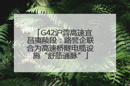 G42沪蓉高速宜昌夷陵段：路警企联合为高速桥隧电缆设施“舒筋通脉”