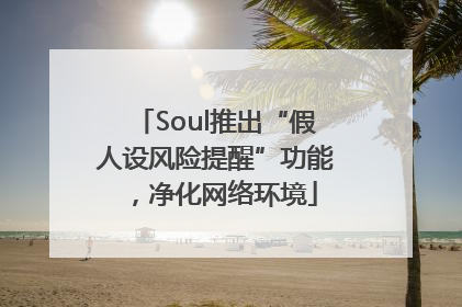 Soul推出“假人设风险提醒”功能，净化网络环境